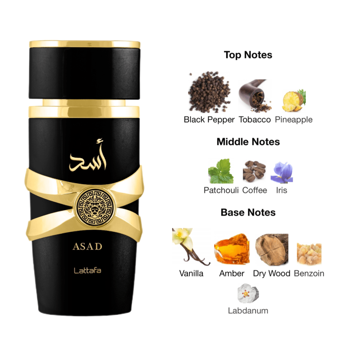Lattafa Asad EDP - 100 ml - YARA Illatbazár