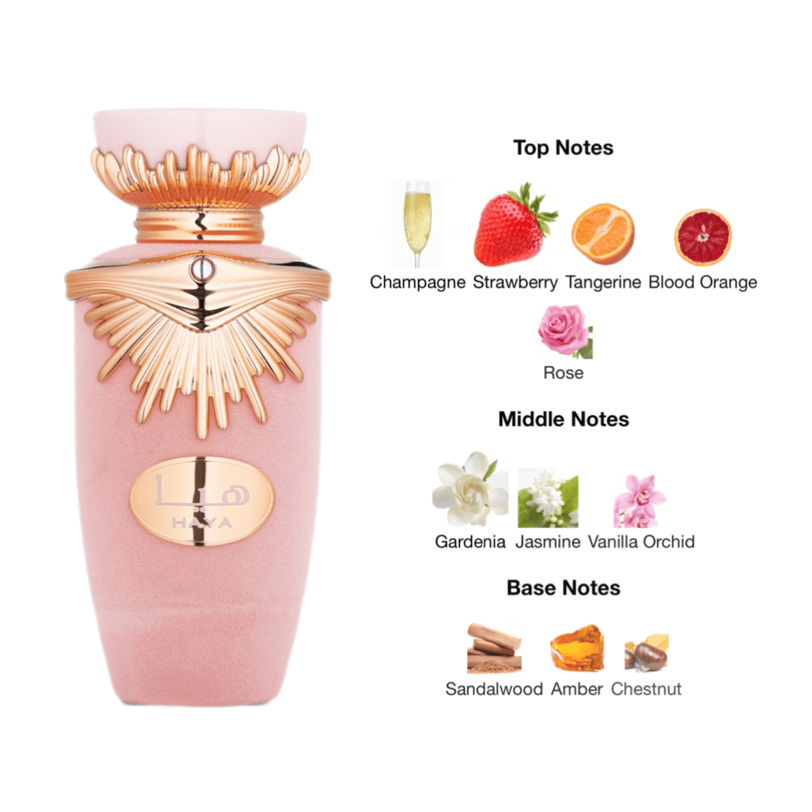 Lattafa Haya EDP - 100 ml - YARA Illatbazár