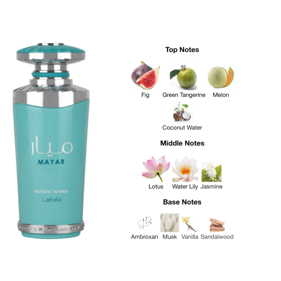 Lattafa Mayar Natural Intense EDP - 100 ml - YARA Illatbazár