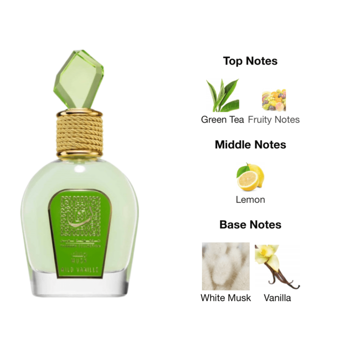 Lattafa Musk Wild Vanille EDP - 100 ml - YARA Illatbazár