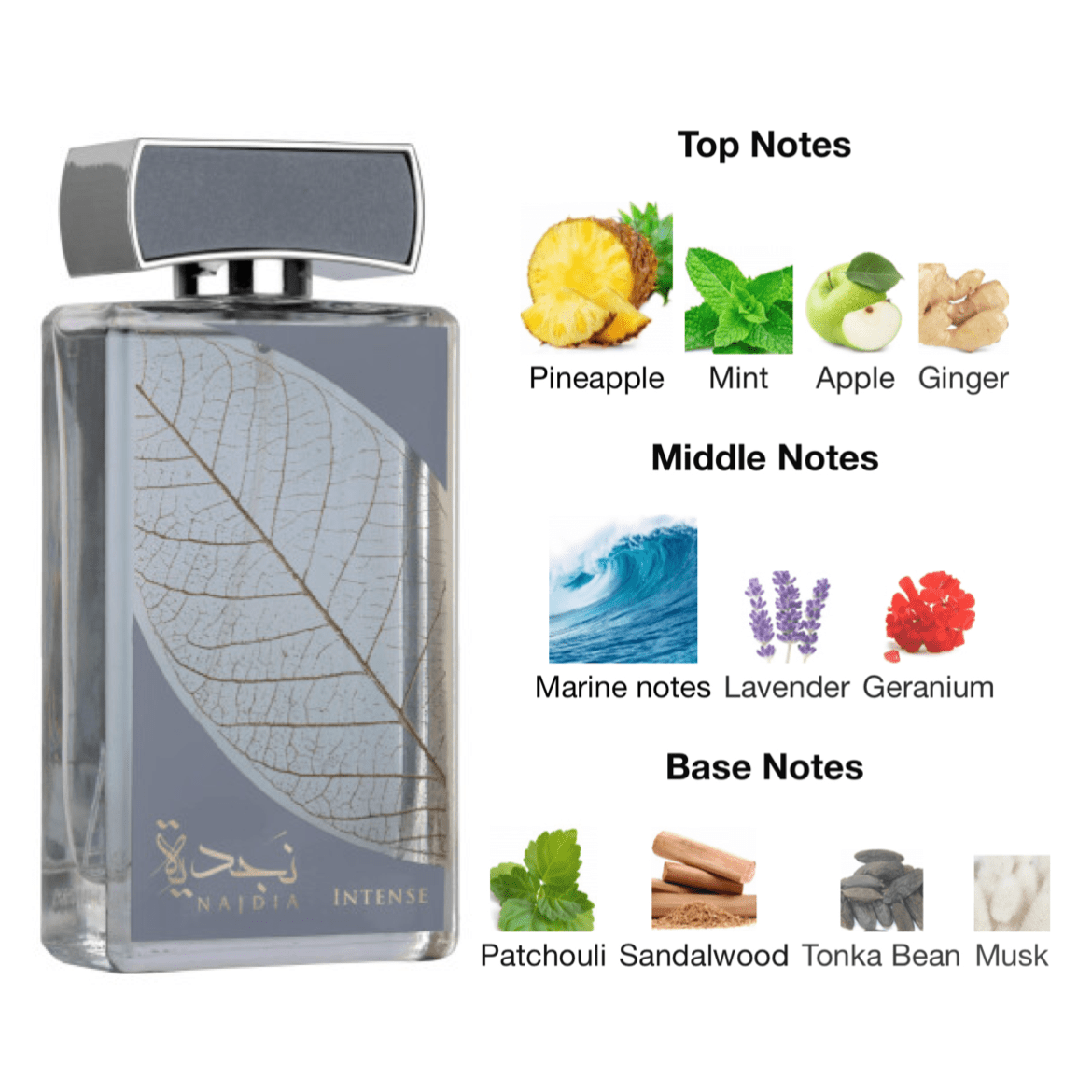 Lattafa Najdia Intense EDP - 100 ml - YARA Illatbazár