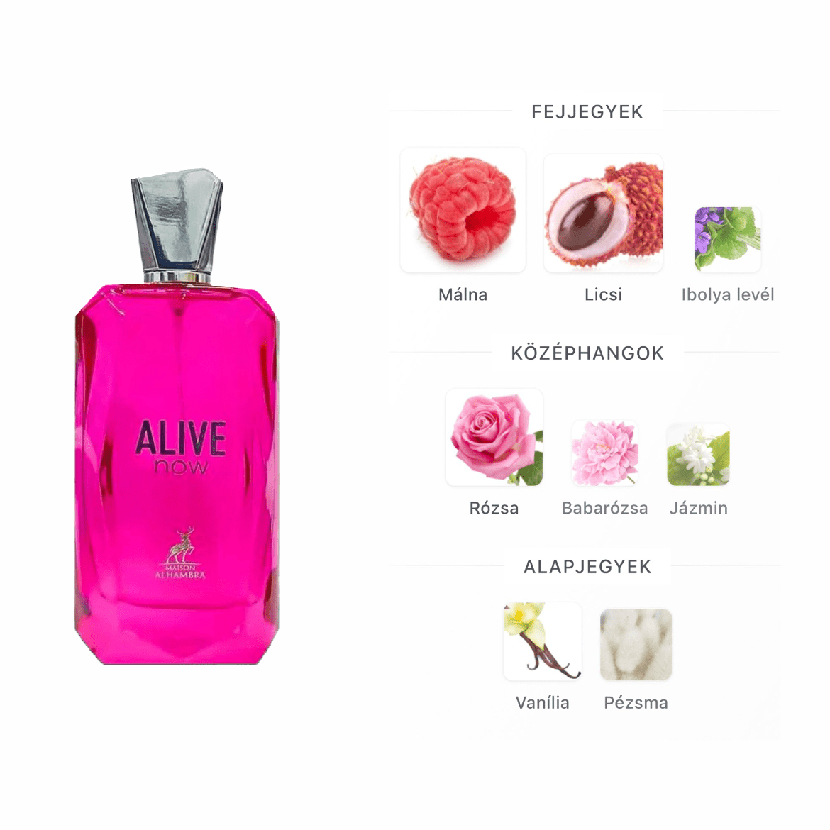 Maison Alhambra Alive Now testpermet - 250 ml - YARA Illatbazár