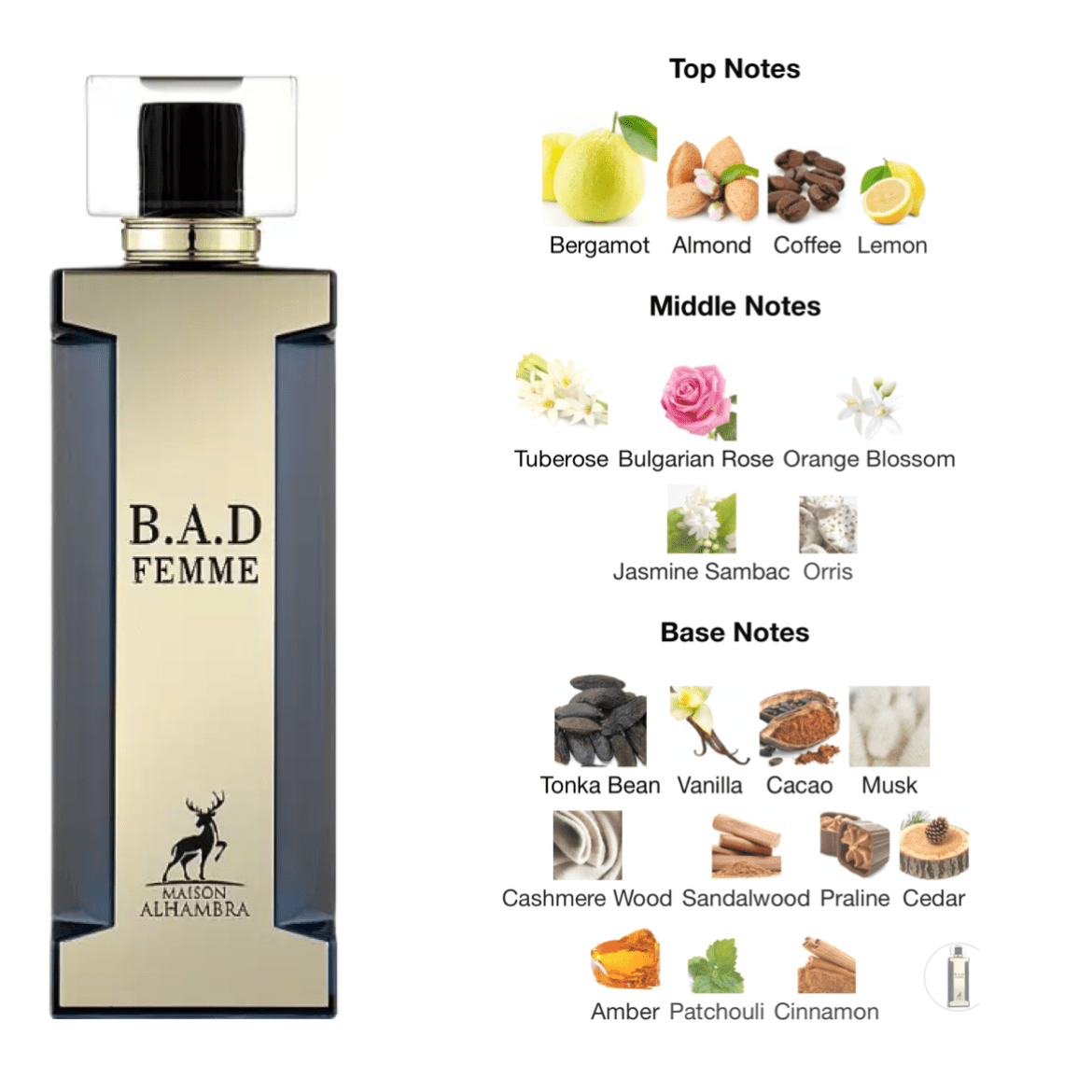 Maison Alhambra BAD Femme EDP - 100 ml - YARA Illatbazár