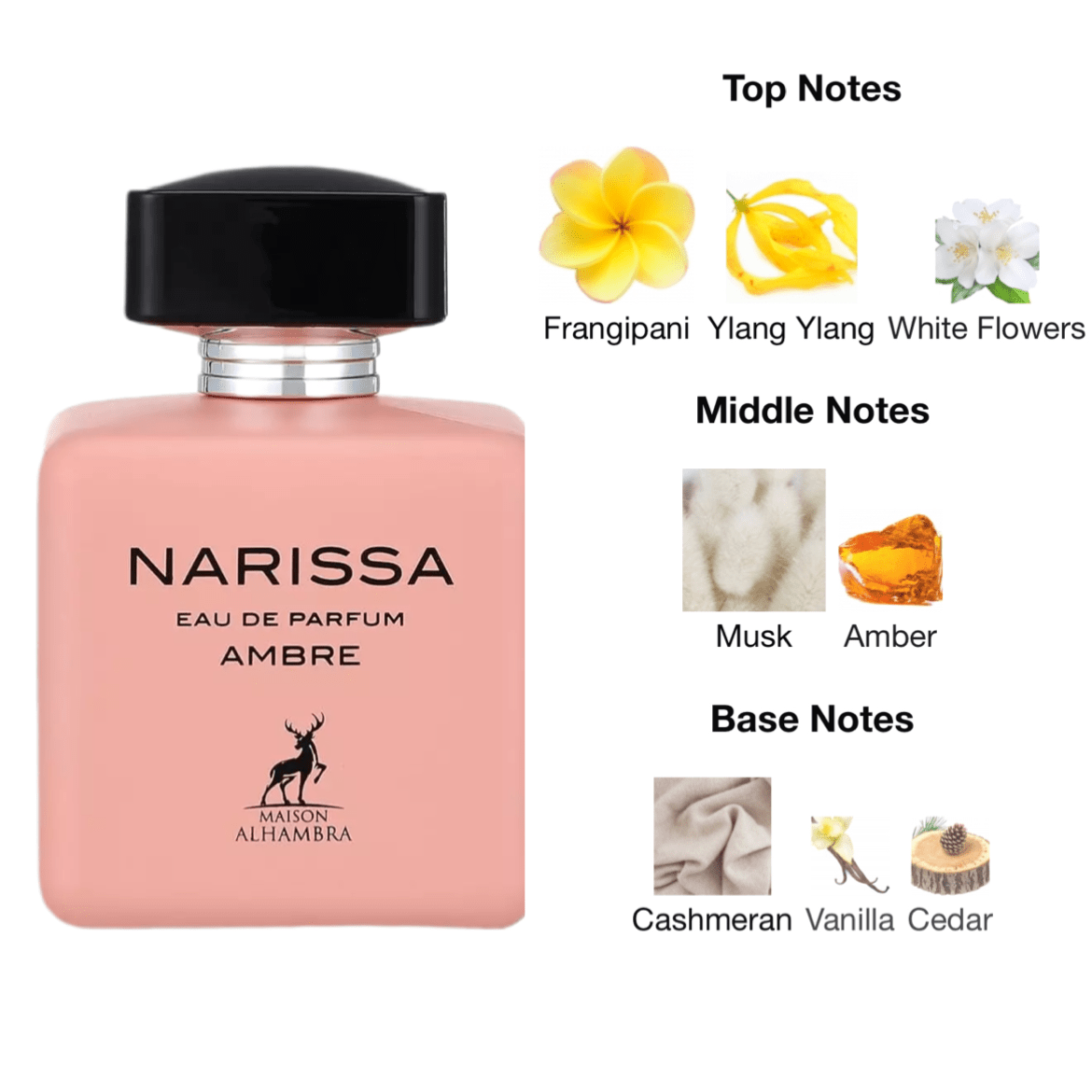 Maison Alhambra Narissa Ambre EDP - 100 ml - YARA Illatbazár