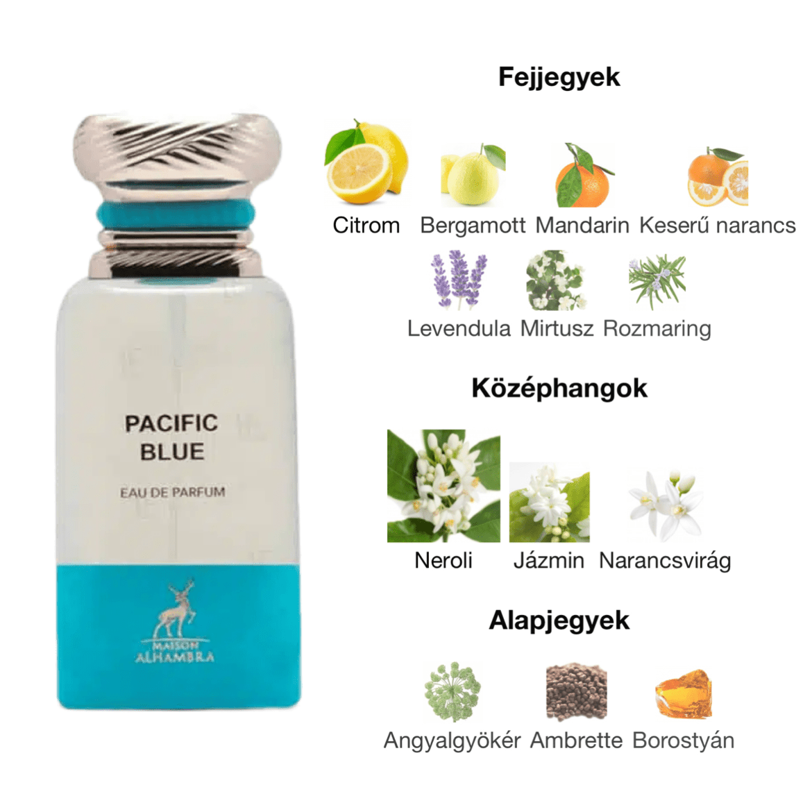 Maison Alhambra Pacific Blue ( Porto Neroli ) EDP - 80 ml - YARA Illatbazár