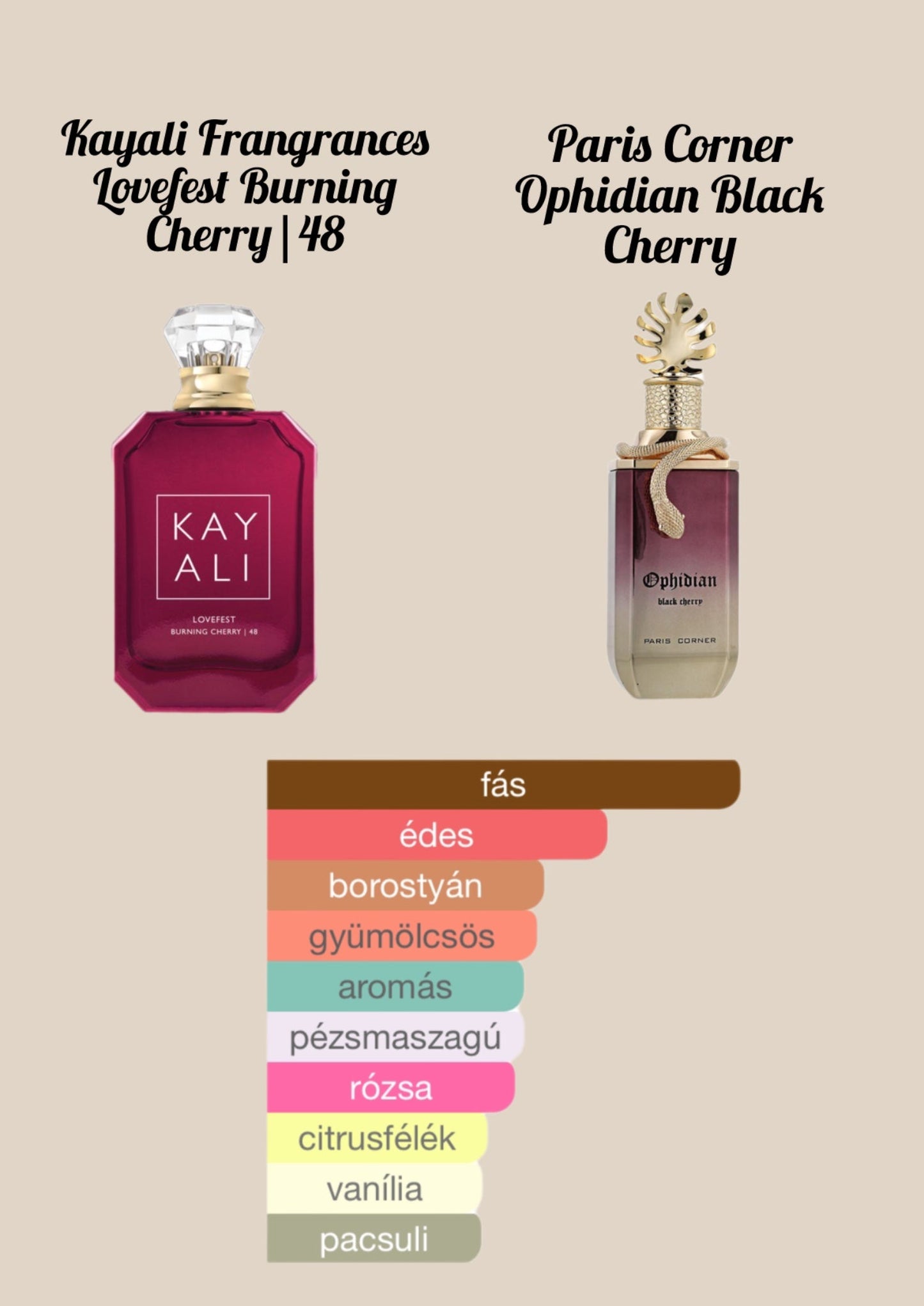 Paris Corner Ophidian Black Cherry EDP - 100 ml - YARA Illatbazár
