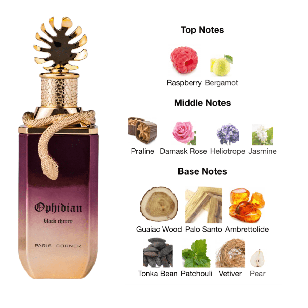 Paris Corner Ophidian Black Cherry EDP - 100 ml - YARA Illatbazár