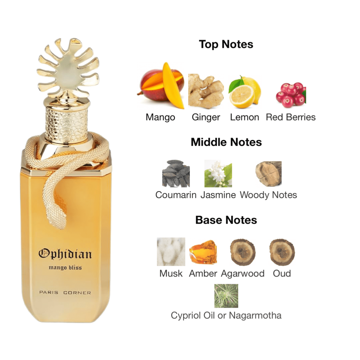 Paris Corner Ophidian Mango Bliss EDP - 100 ml - YARA Illatbazár