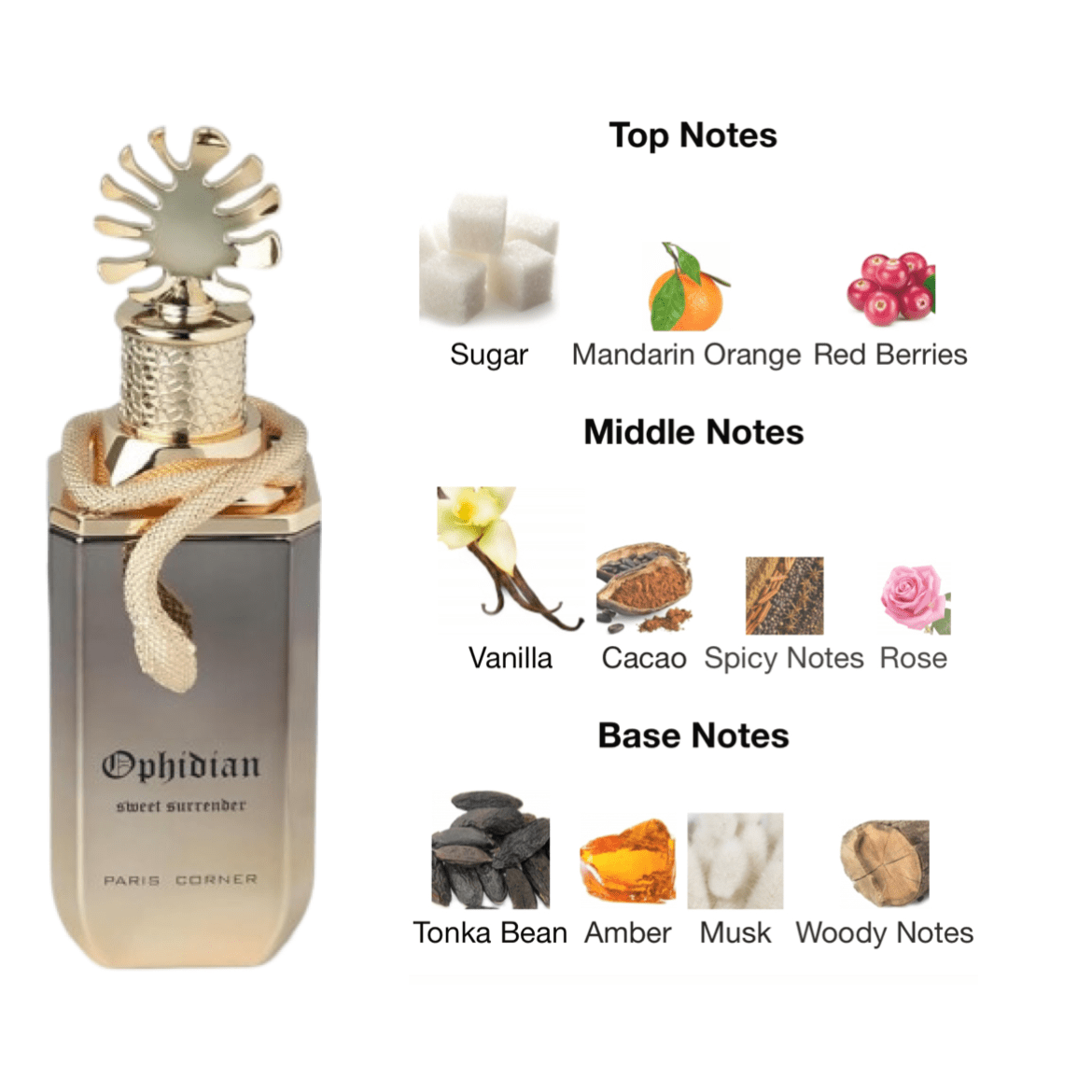 Paris Corner Ophidian Sweet Surrender EDP - 100 ml - YARA Illatbazár