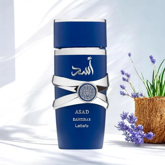 Lattafa Asad Zanzibar EDP - 100 ml