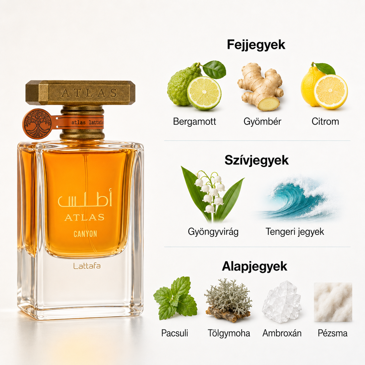 Lattafa Atlas Canyon EDP - 55 ml
