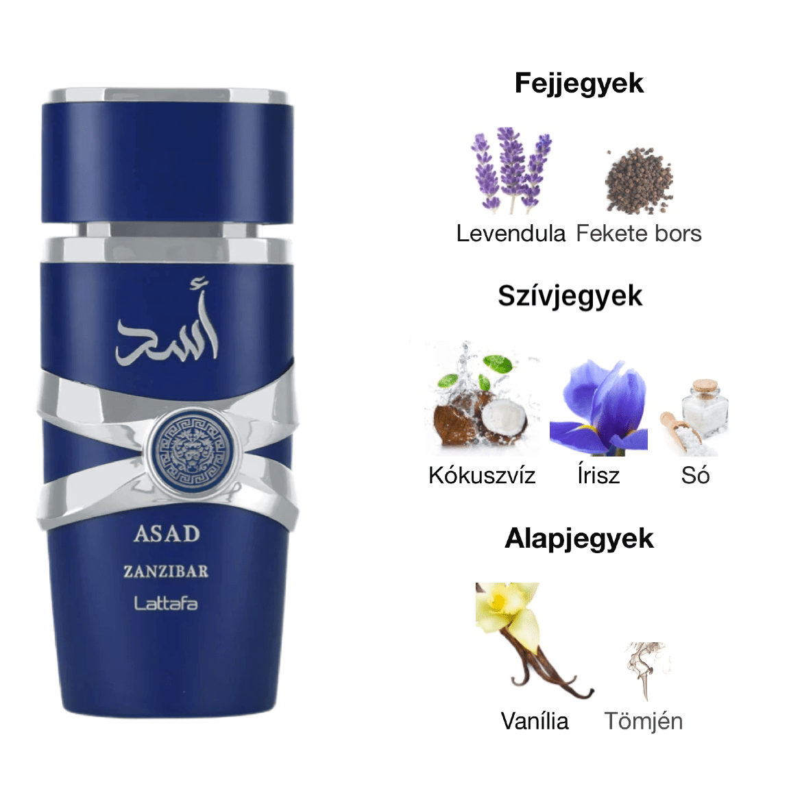 Lattafa Asad Zanzibar férfi parfüm - 100 ml – YARA Illatbazár