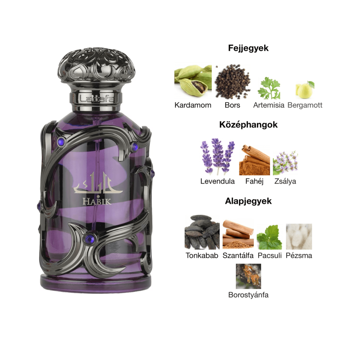 Lattafa Habik for Men EDP - 100 ml - YARA Illatbazár