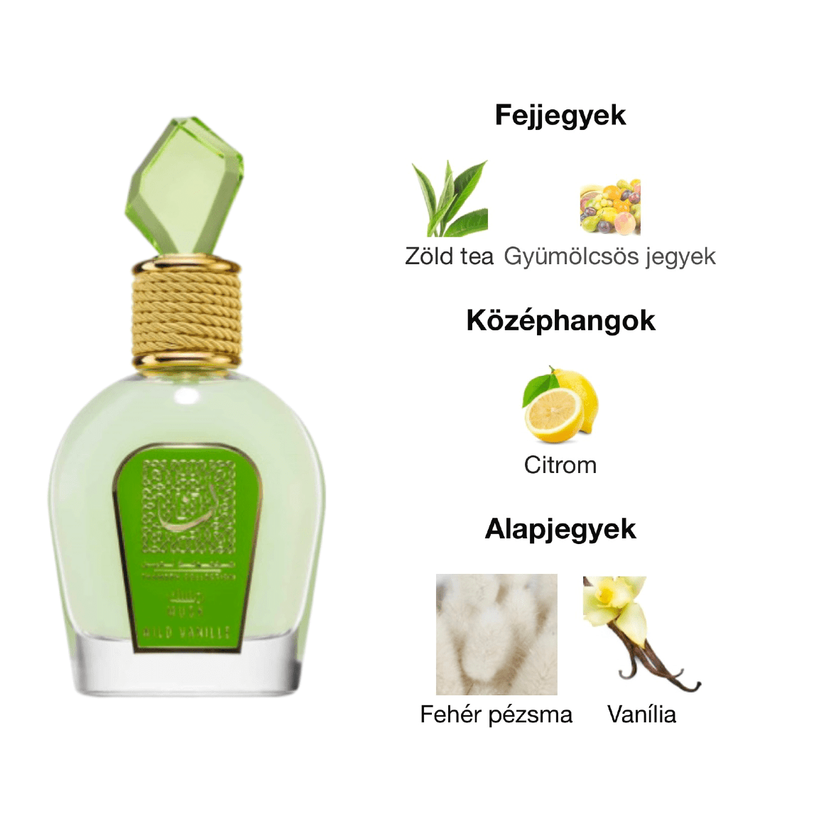 Lattafa Musk Wild Vanille EDP - 100 ml - YARA Illatbazár
