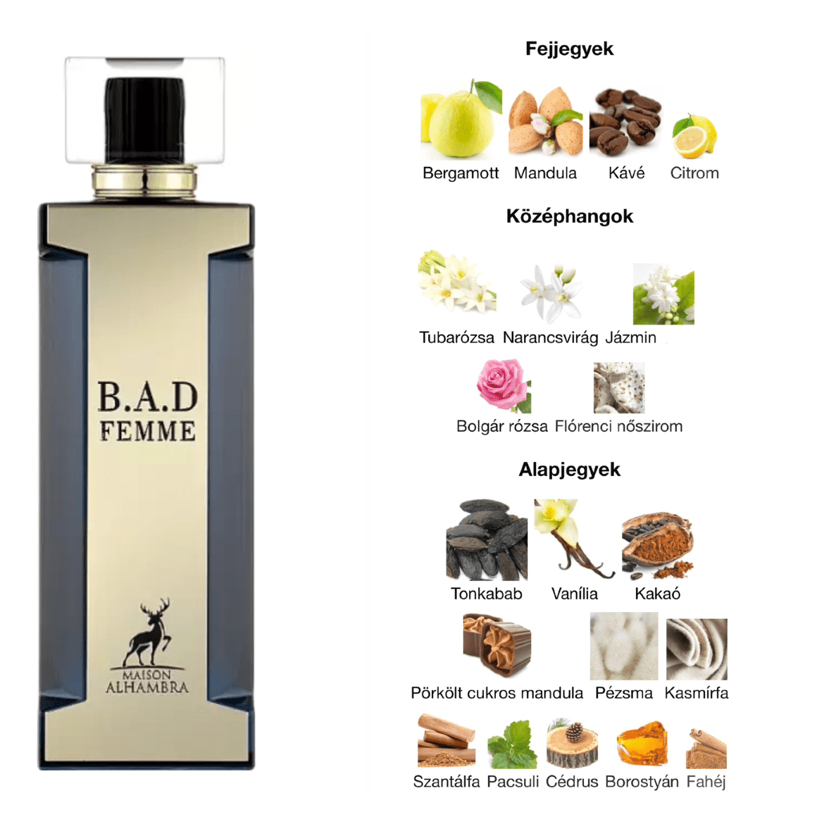 Maison Alhambra BAD Femme EDP - 100 ml - YARA Illatbazár
