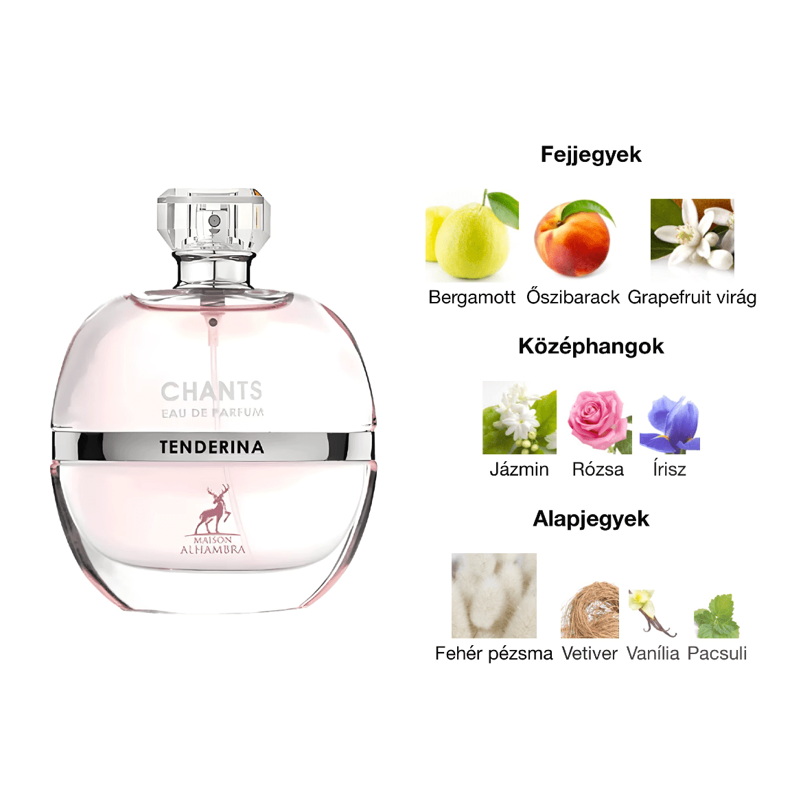 Maison Alhambra Chants Tenderina EDP - 100 ml - YARA Illatbazár