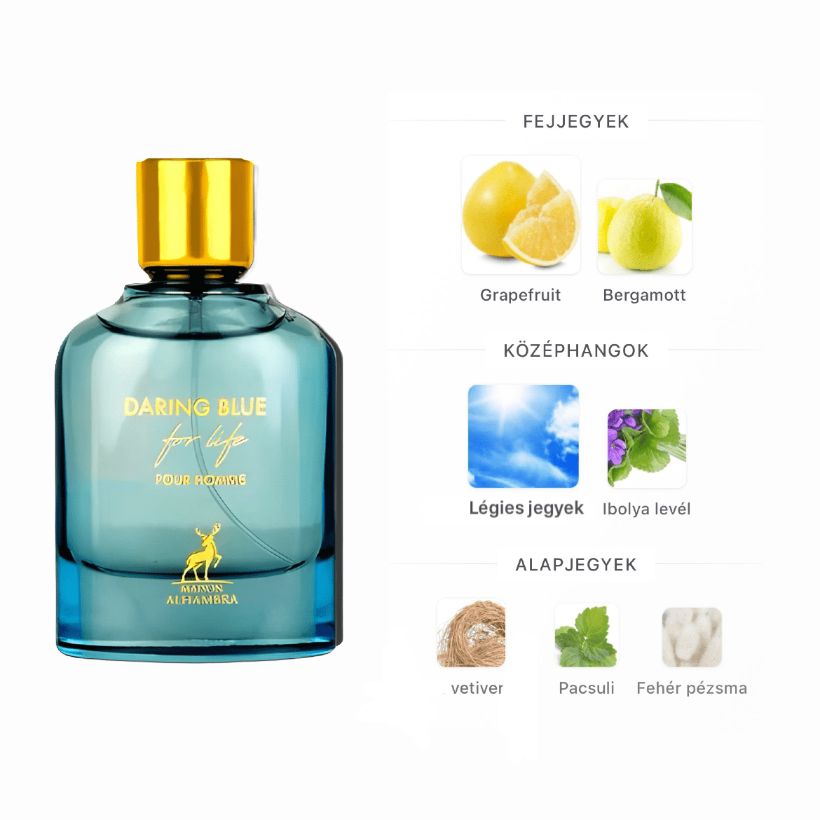 Maison Alhambra Daring Blue EDP - 100 ml - YARA Illatbazár
