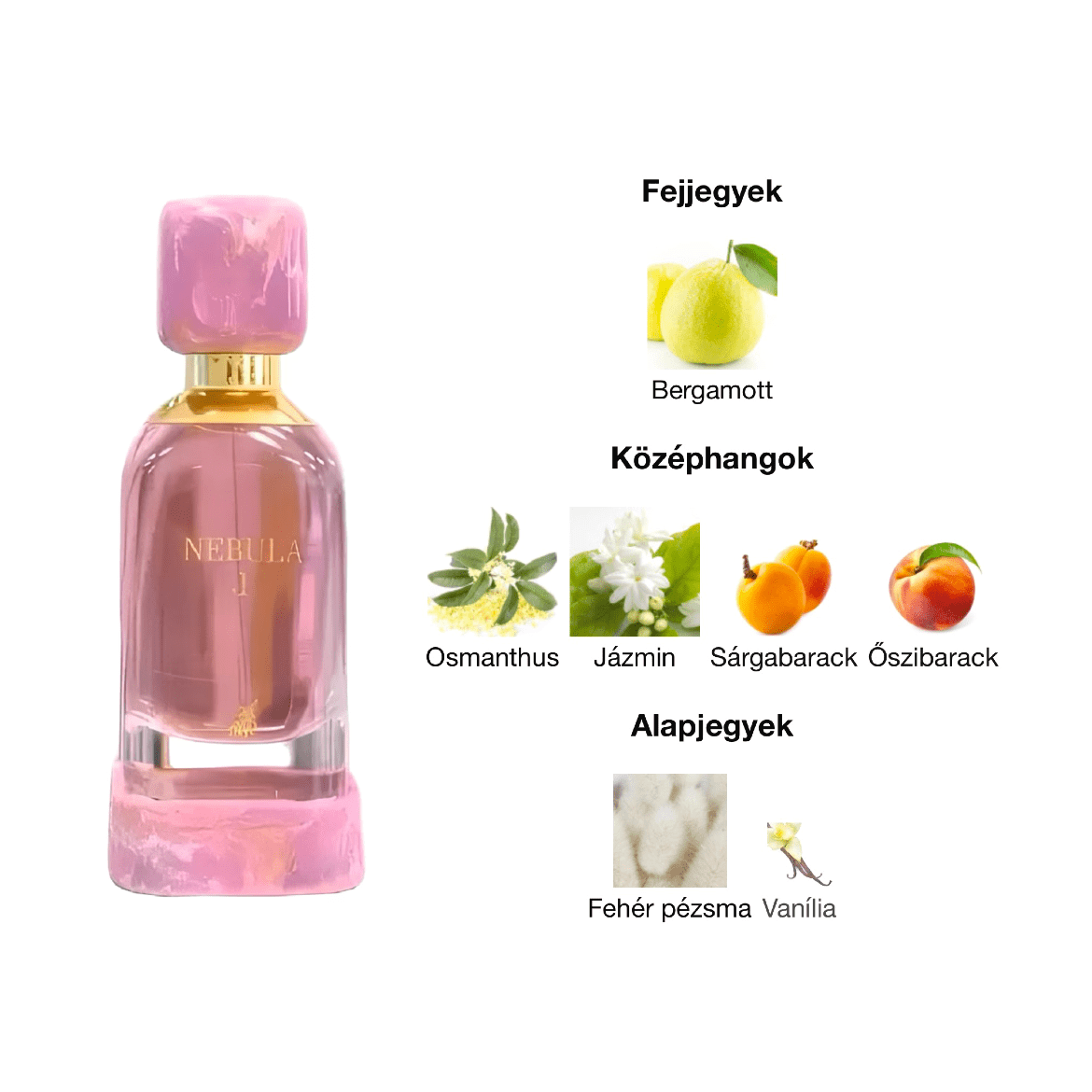 Maison Alhambra Nebula I. EDP - 100 ml - YARA Illatbazár
