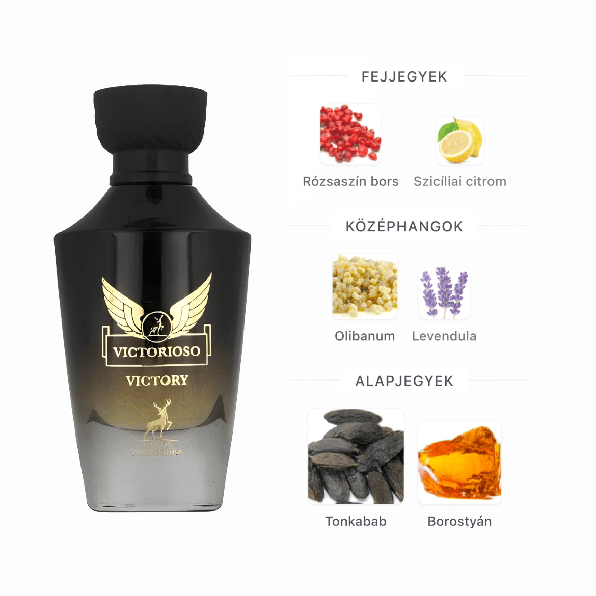 Maison Alhambra Victorioso Nero EDP - 100 ml - YARA Illatbazár