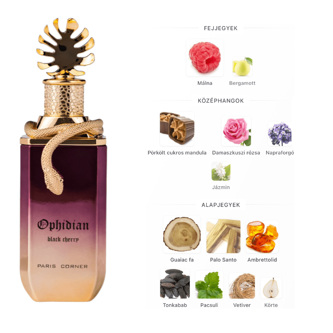 Paris Corner Ophidian Black Cherry EDP - 100 ml - YARA Illatbazár