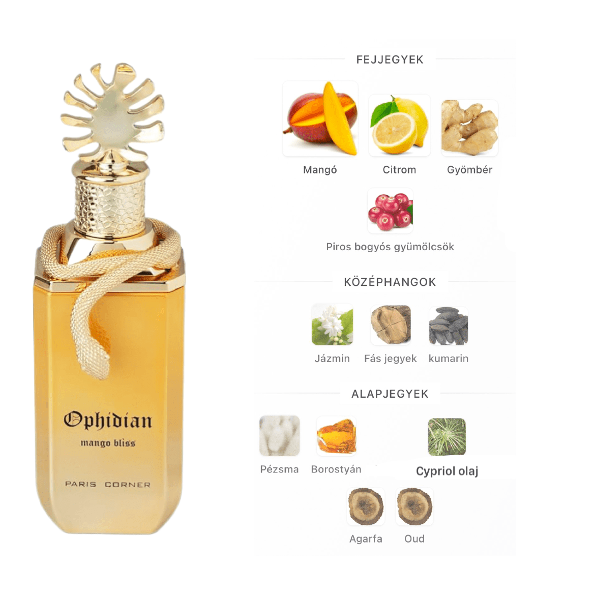 Paris Corner Ophidian Mango Bliss EDP - 100 ml - YARA Illatbazár