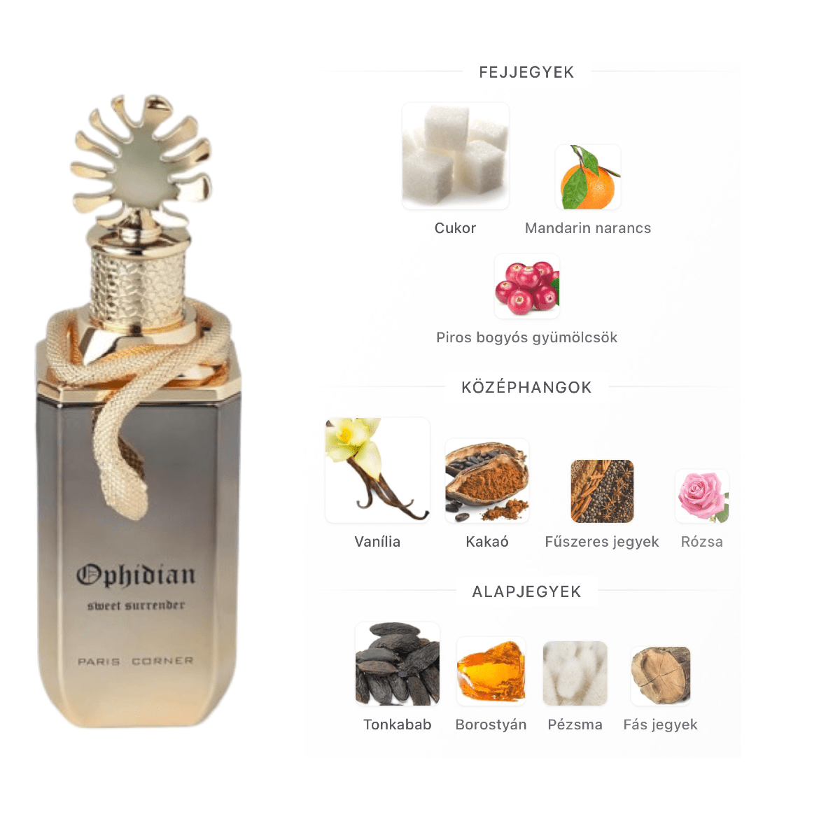 Paris Corner Ophidian Sweet Surrender EDP - 100 ml - YARA Illatbazár