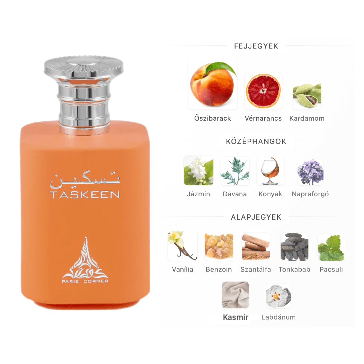 Paris Corner Taskeen EDP - 100 ml - YARA Illatbazár